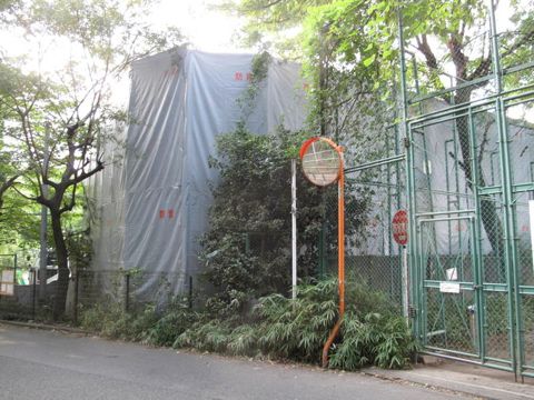 Japón inicia excavaciones en antigua escuela vinculada a experimentos de guerra