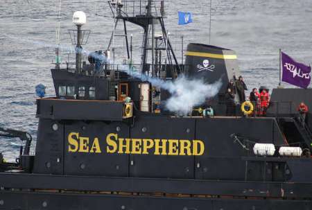 Sea Shepherd