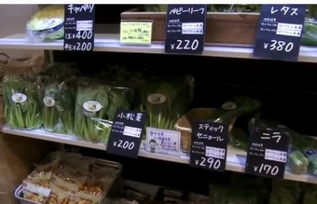 Alimento de Fukushima