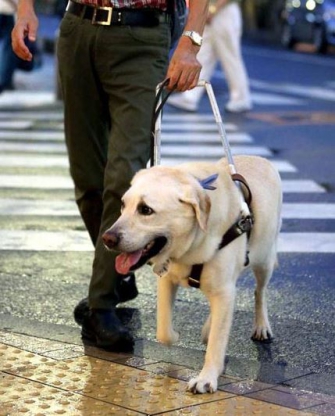 Óscar (foto The Page)